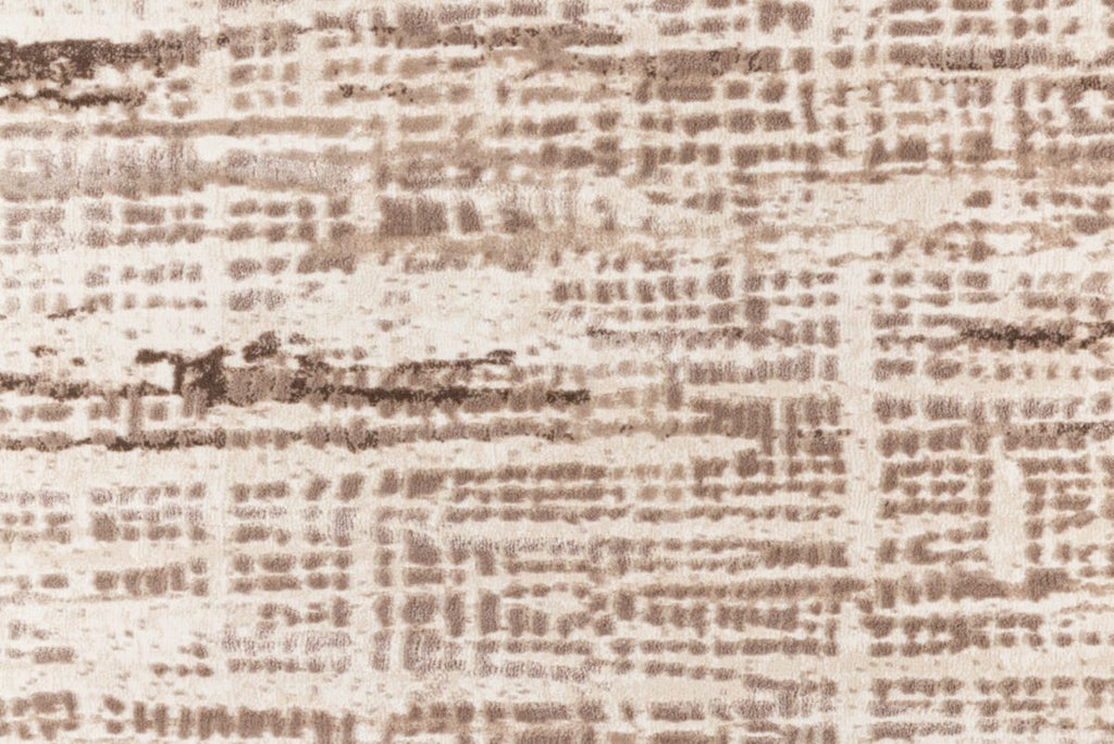 13 Fossil