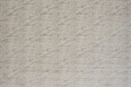 21 Graphite