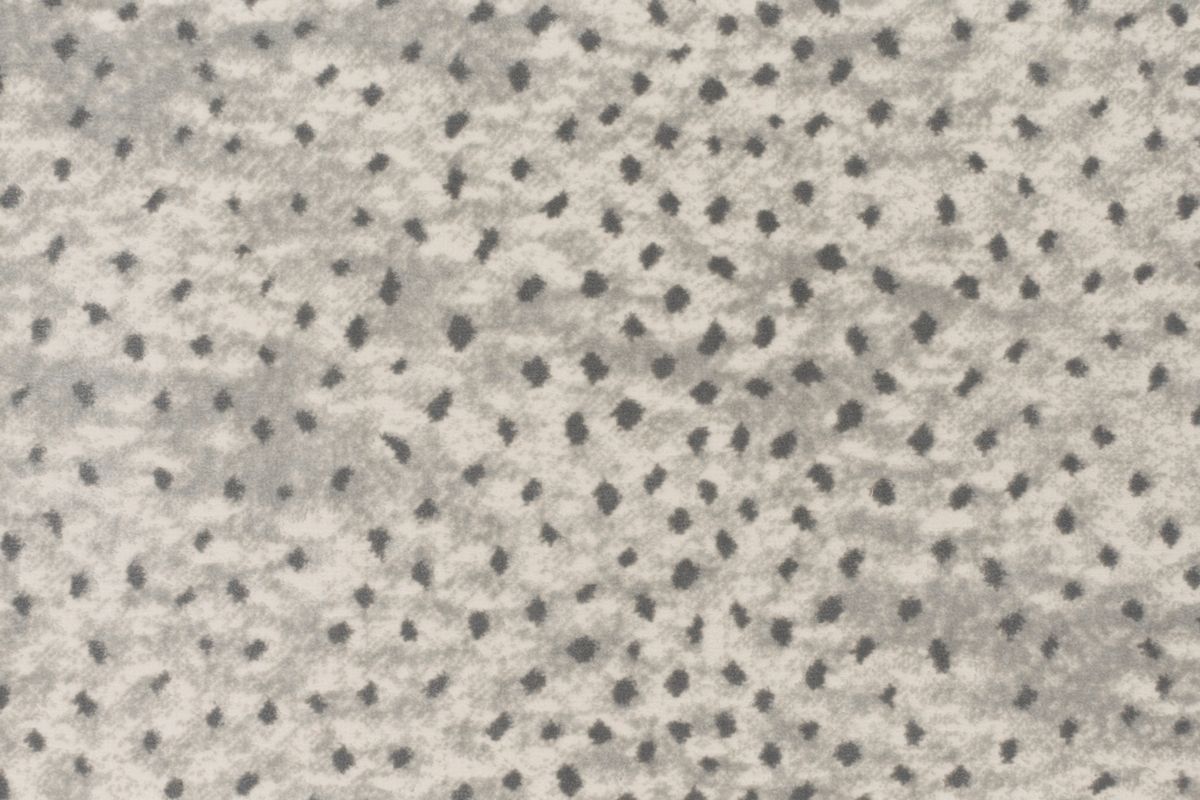 21 Graphite