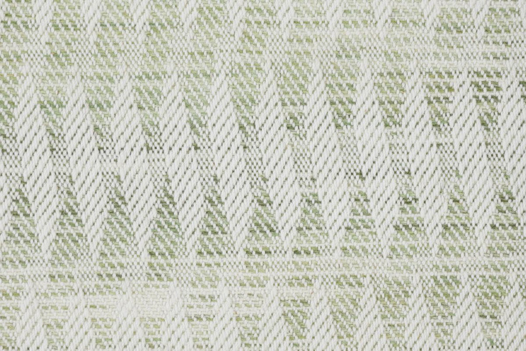 3 Fern