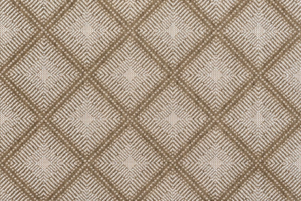 5 Bone