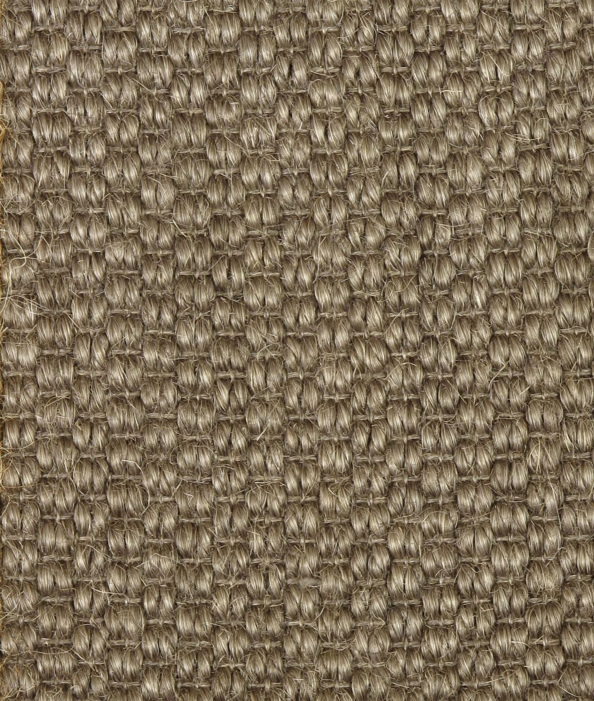 Bark