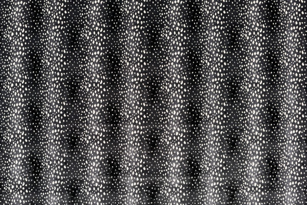 T01000740_ALT2