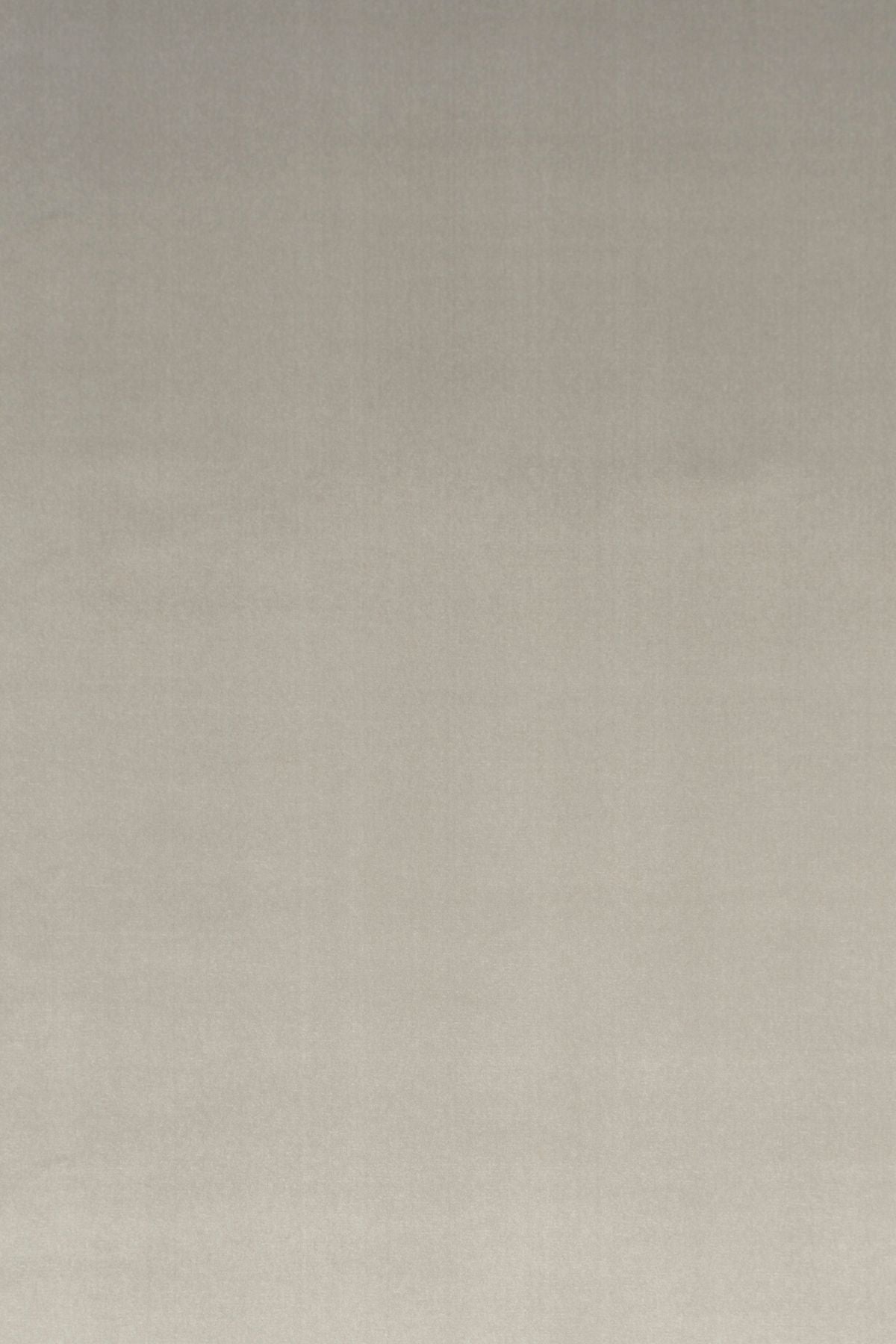 T01001064_ALT2