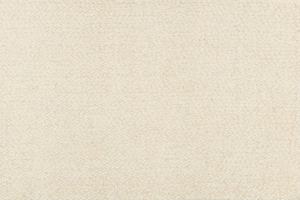 T01005591_CL