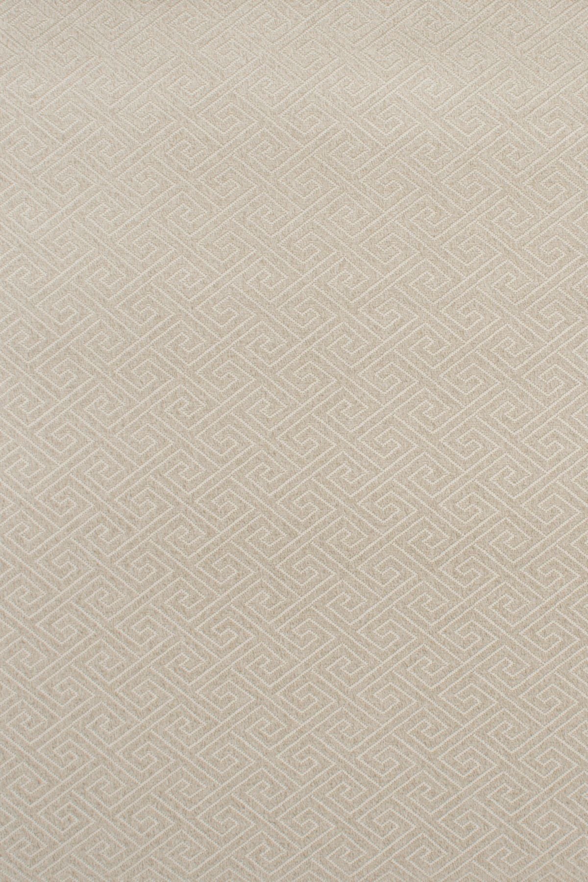 T01007268_ALT2