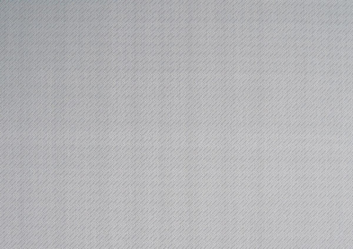 T01007557_ALT2