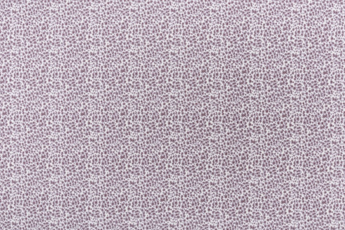 T01009412_ALT2