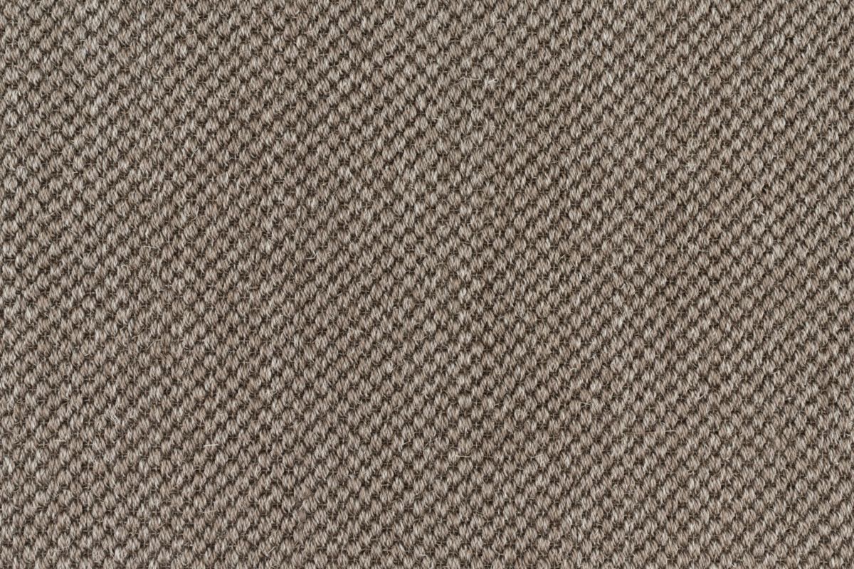 T01009985_CL