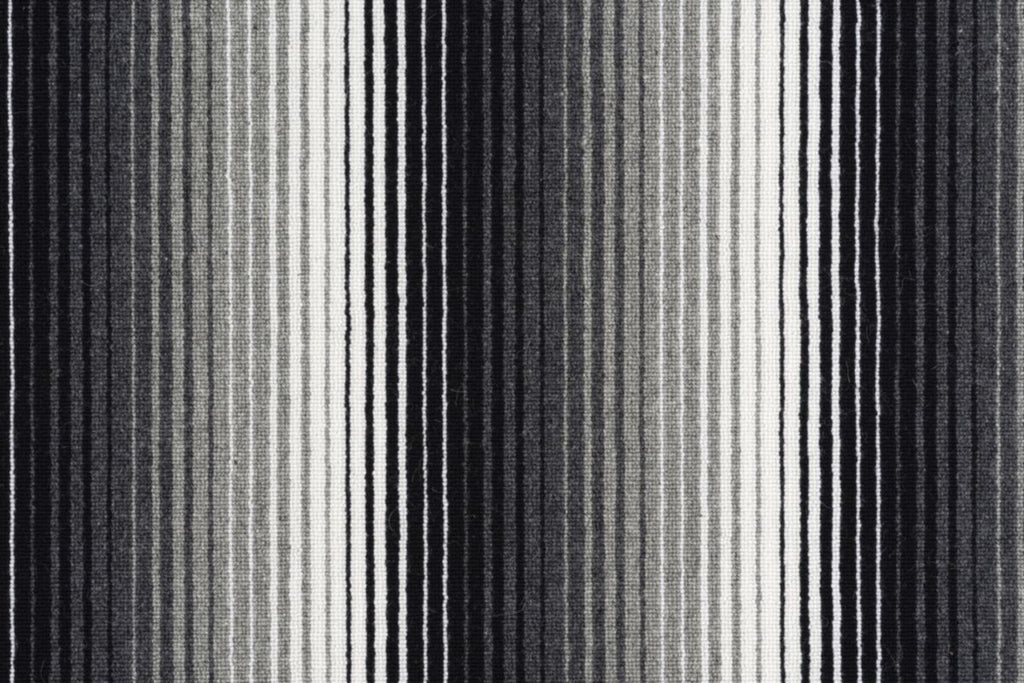 T01010645_CL