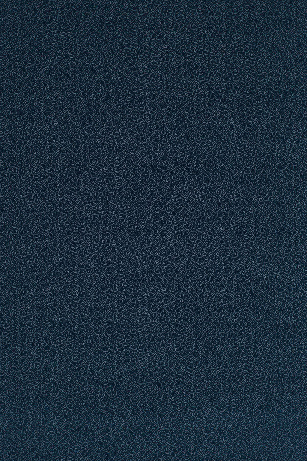 T01010723_ALT2