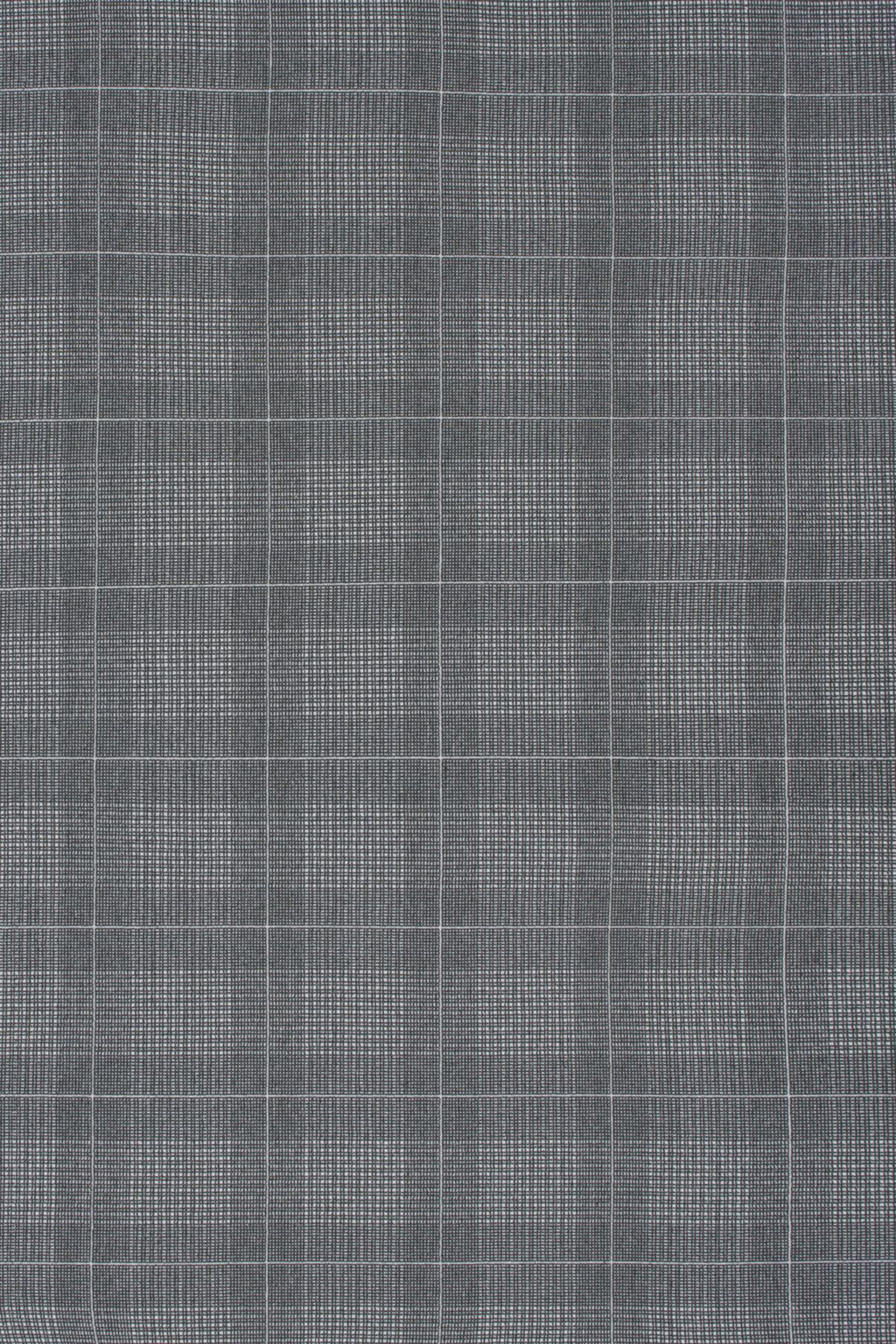 T01012077_ALT2