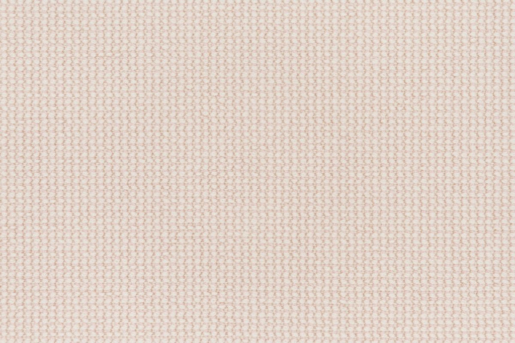 T01014204_CL