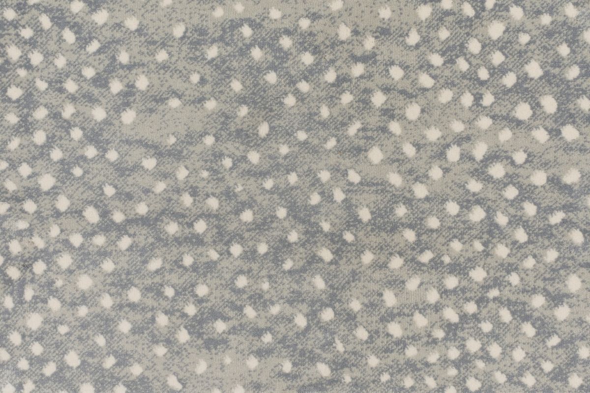 T01016433_CL