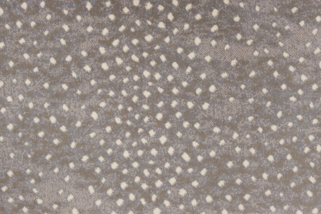 T01016435_CL
